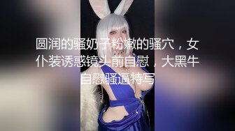 圆润的骚奶子粉嫩的骚穴，女仆装诱惑镜头前自慰，大黑牛自慰骚逼特写