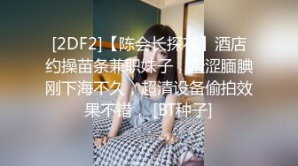 [2DF2]【陈会长探花】酒店约操苗条兼职妹子，羞涩腼腆刚下海不久，超清设备偷拍效果不错， [BT种子]