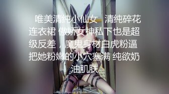 Al&mdash;刘亦菲女仆自慰