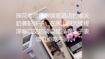 【新片速遞】  眼镜探花伟哥连锁酒店❤️约炮气质白领兼职姐姐沙发上各种姿势侧入打桩到姐姐淫叫