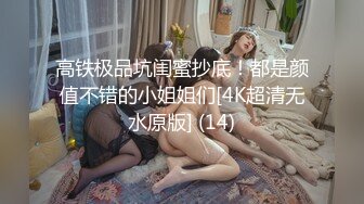 高铁极品坑闺蜜抄底！都是颜值不错的小姐姐们[4K超清无水原版] (14)