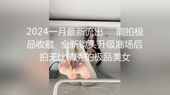 2024一月最新流出❤️厕拍极品收藏⭐全新镜头升级商场后拍无比清秀的极品美女