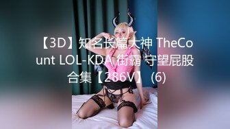 【3D】知名长篇大神 TheCount LOL-KDA 街霸 守望屁股 合集【286V】 (6)