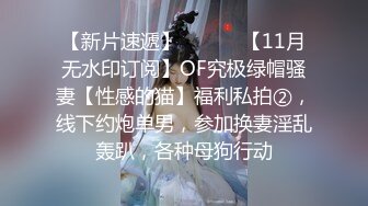 【新片速遞】 ⚫️⚫️【11月无水印订阅】OF究极绿帽骚妻【性感的猫】福利私拍②，线下约炮单男，参加换妻淫乱轰趴，各种母狗行动