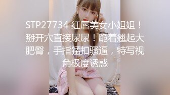 堕ちた花嫁 后编～新婚初夜の営み～