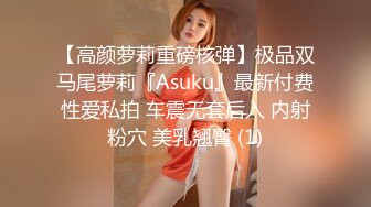 【高颜萝莉重磅核弹】极品双马尾萝莉『Asuku』最新付费性爱私拍 车震无套后入 内射粉穴 美乳翘臀 (1)