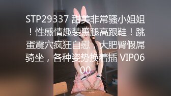 STP29337 甜美非常骚小姐姐！性感情趣装黑腿高跟鞋！跳蛋震穴疯狂自慰，大肥臀假屌骑坐，各种姿势换着插 VIP0600