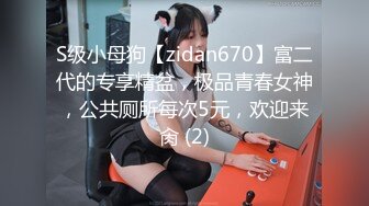 S级小母狗【zidan670】富二代的专享精盆，极品青春女神，公共厕所每次5元，欢迎来肏 (2)