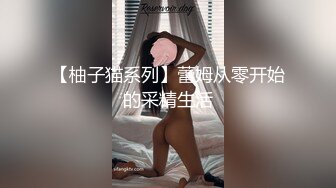 淫荡对白销魂呻吟，推特约炮大咖【夏次健】自传，调教爆肏巨乳肥臀小母狗，无套暴力输出肏到尖叫喊爸爸 (18)