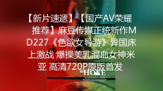 麻豆传媒 MKYHS-003 催情民宿 被水电工修理的啊啊叫 苏清歌