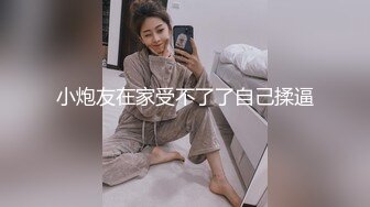 纱裙之下的小熊