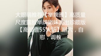 国产麻豆AV 麻豆番外 性爱番外篇 突袭女优计划 EP2 肉棒突击队强制要求与主持人发生性爱 艾秋