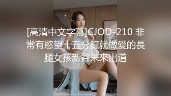 [高清中文字幕]CJOD-210 非常有慾望十五分鐘就做愛的長腿女孩新谷未來出道