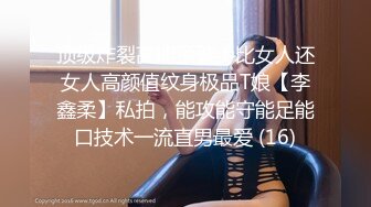 私房八月新流出魔手外购极品厕拍女神极品高跟女神漂亮空姐被侧角度偷拍坐便蹲着尿尿