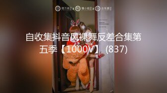 洛阳骚少妇被我疯狂后入