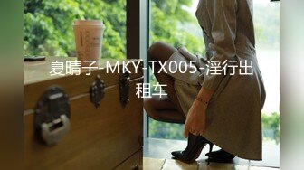 夏晴子-MKY-TX005-淫行出租车