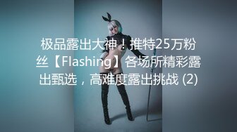 极品露出大神！推特25万粉丝【Flashing】各场所精彩露出甄选，高难度露出挑战 (2)