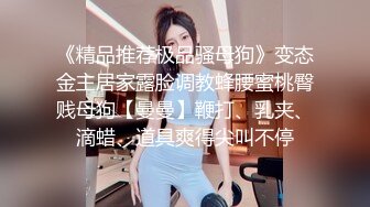 乌托邦情欲新作 WTB-094 女仆的秘密课程 教导严肃主任懂得享受激情之夜