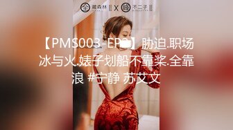 十一月最新流出 精品厕拍酒吧女厕偷拍 看手机的极品颜值黑丝美女很有撸点