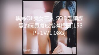 黑絲OL美女三人 SOD淫銷課-愛的玩具養成指導視圖[153P+1V/1.08G]