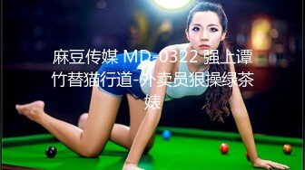 麻豆传媒 MD-0322 强上谭竹替猫行道-外卖员狠操绿茶婊