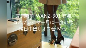 [无码破解]WANZ-301 有名コスプレイヤー月に一度の危険日中出しオフ会 Mey