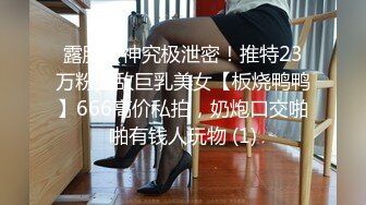 越南女神 想去越南的冲动 (2)