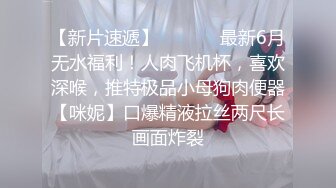 一条摇晃尾巴的母狗